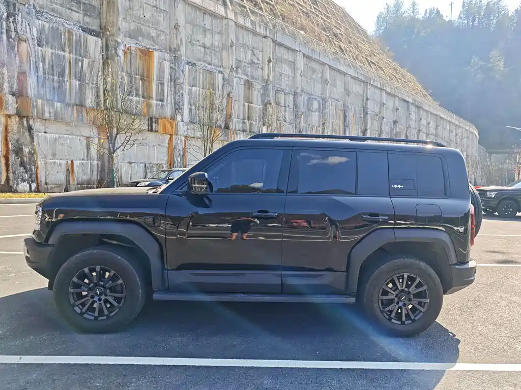 FANG CHENG BAO LEOPARD 5