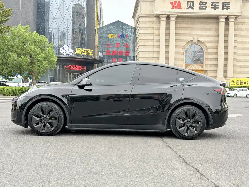Tesla Model Y — миниатюра 4