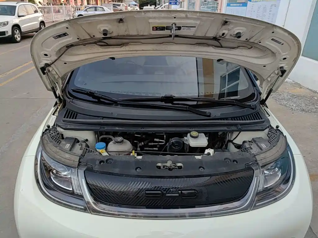 BYD Dolphin — миниатюра 20