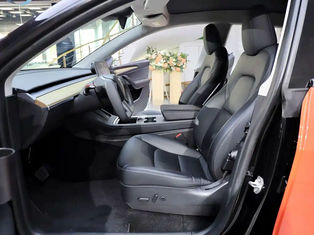 Tesla Model Y — миниатюра 10