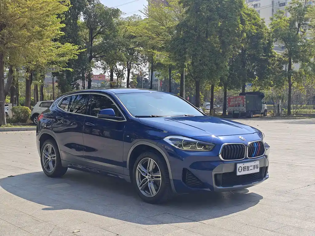 BMW X2 sDrive25i Leading Type M Offroad Package, фото 3