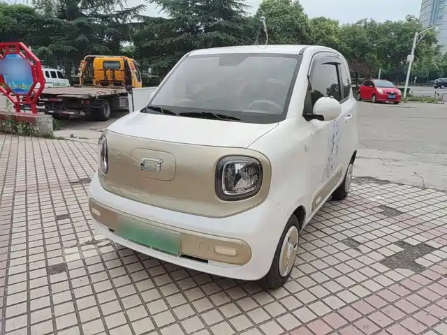 2024 Bestune Pony