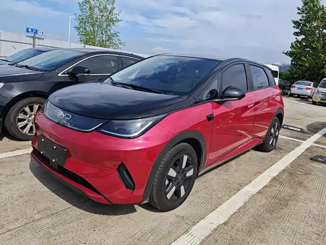 BYD 海豚