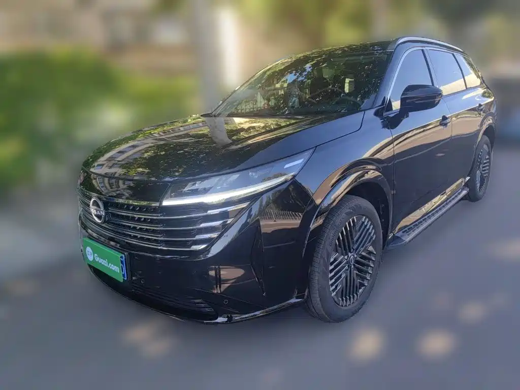 Nissan Teramont — миниатюра 2