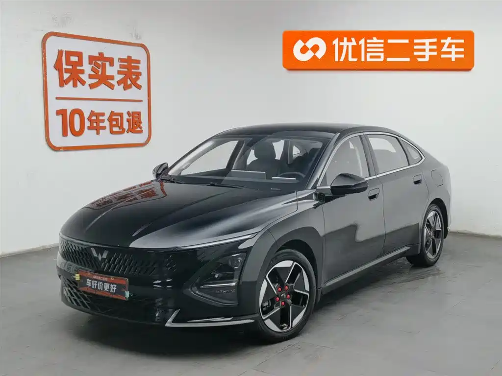 Wuling Xingguang 2024