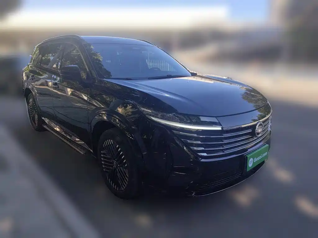 Nissan Teramont — миниатюра 24