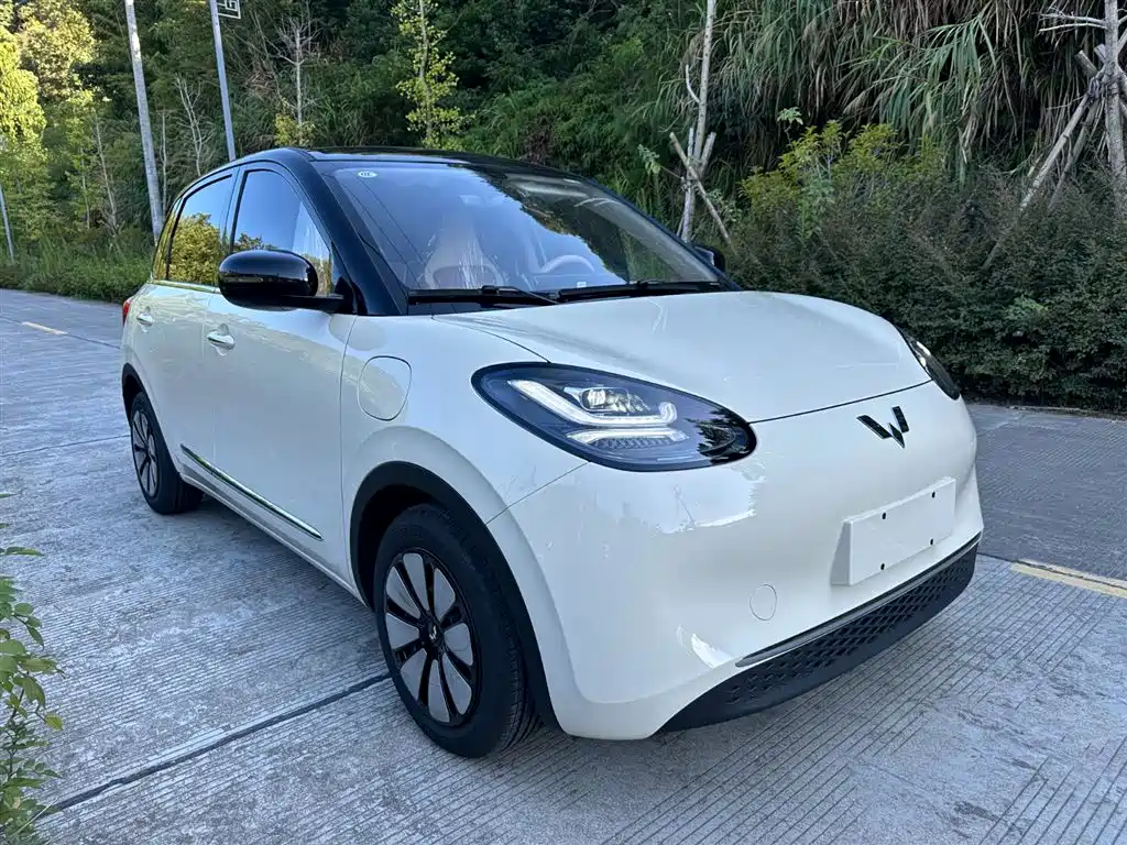 Wuling Binguo 2025 333km Enjoy