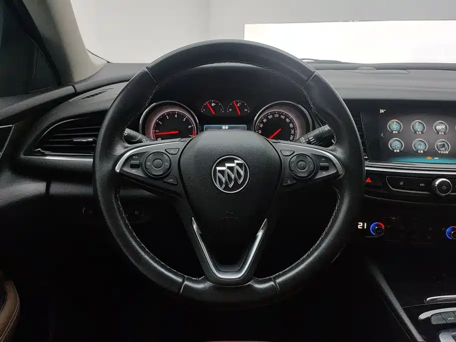 Buick Regal — миниатюра 15