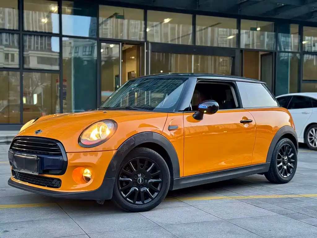 Mini Mini 2017
