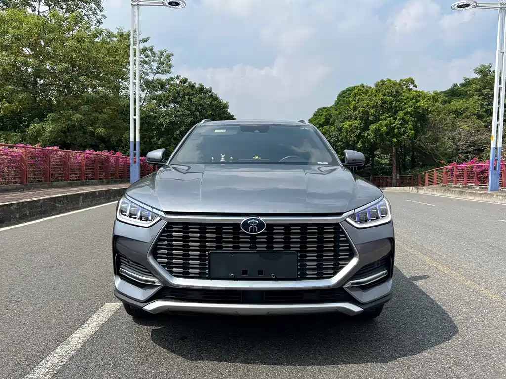 BYD PLUS — миниатюра 2