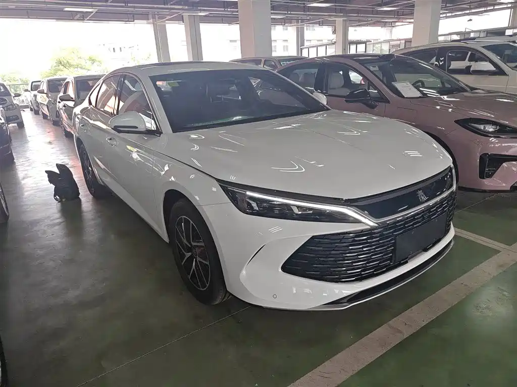 BYD QIN L