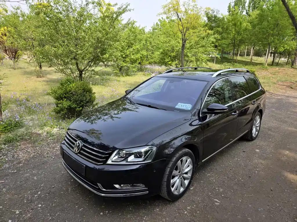 Volkswagen Magotan (Import) 2012