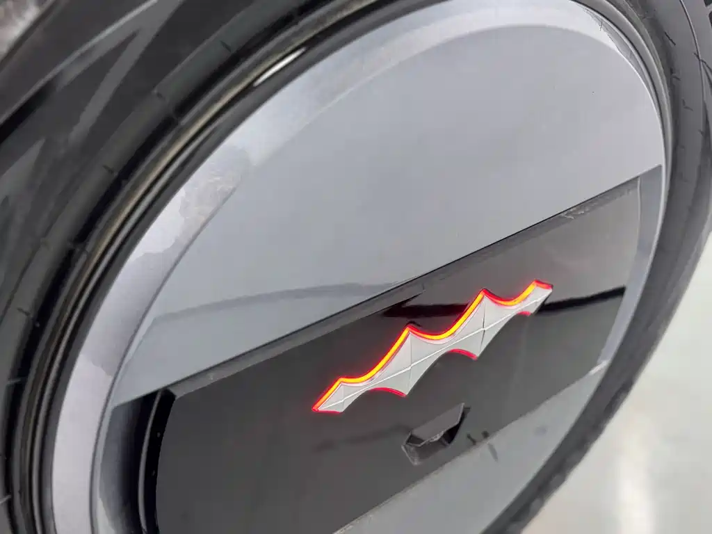 FANG CHENG BAO LEOPARD 5