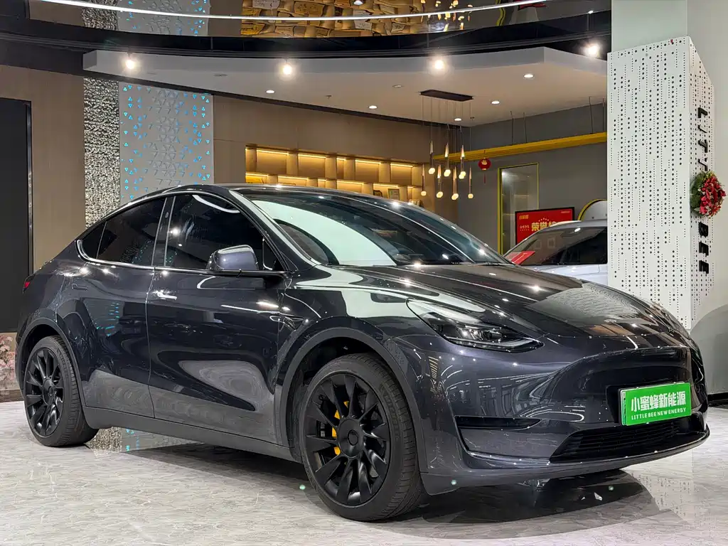 Tesla Model Y — миниатюра 3