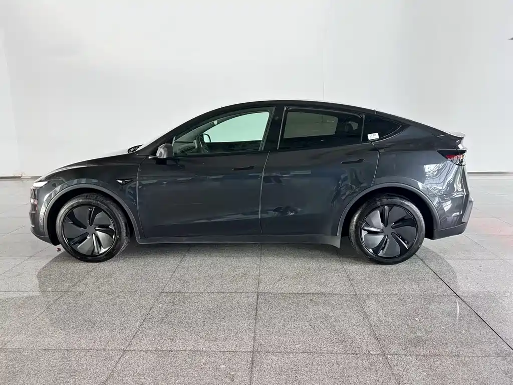 Tesla Model Y — миниатюра 2