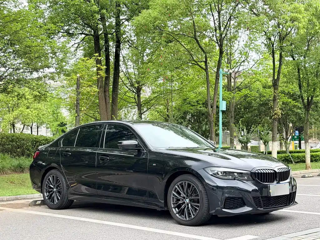 BMW 3 Series — миниатюра 2