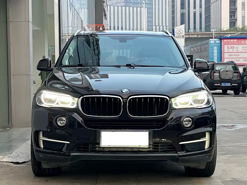 BMW X5 (Import) — миниатюра 2