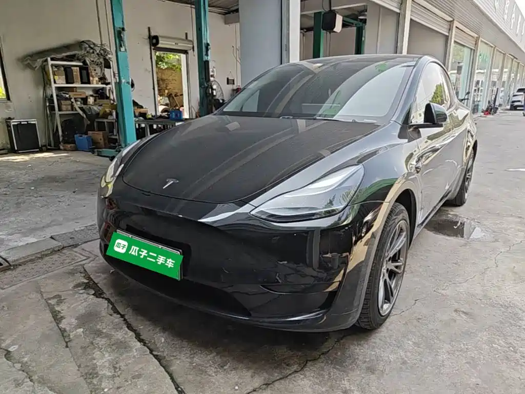 Tesla Model Y — миниатюра 2