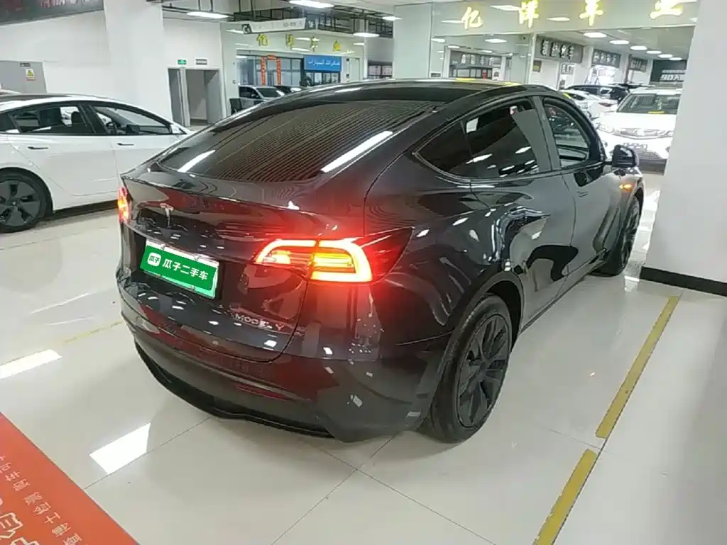 Tesla Model Y — миниатюра 7