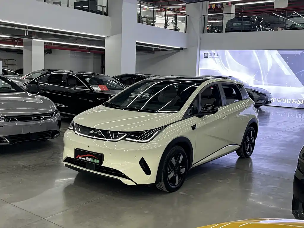 Byd Dolphin 2025