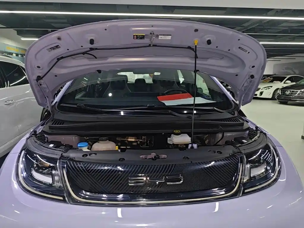 BYD Dolphin — миниатюра 20