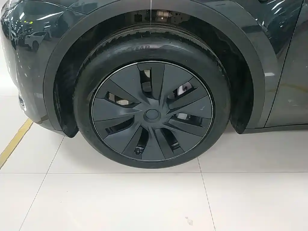 Tesla Model Y — миниатюра 23