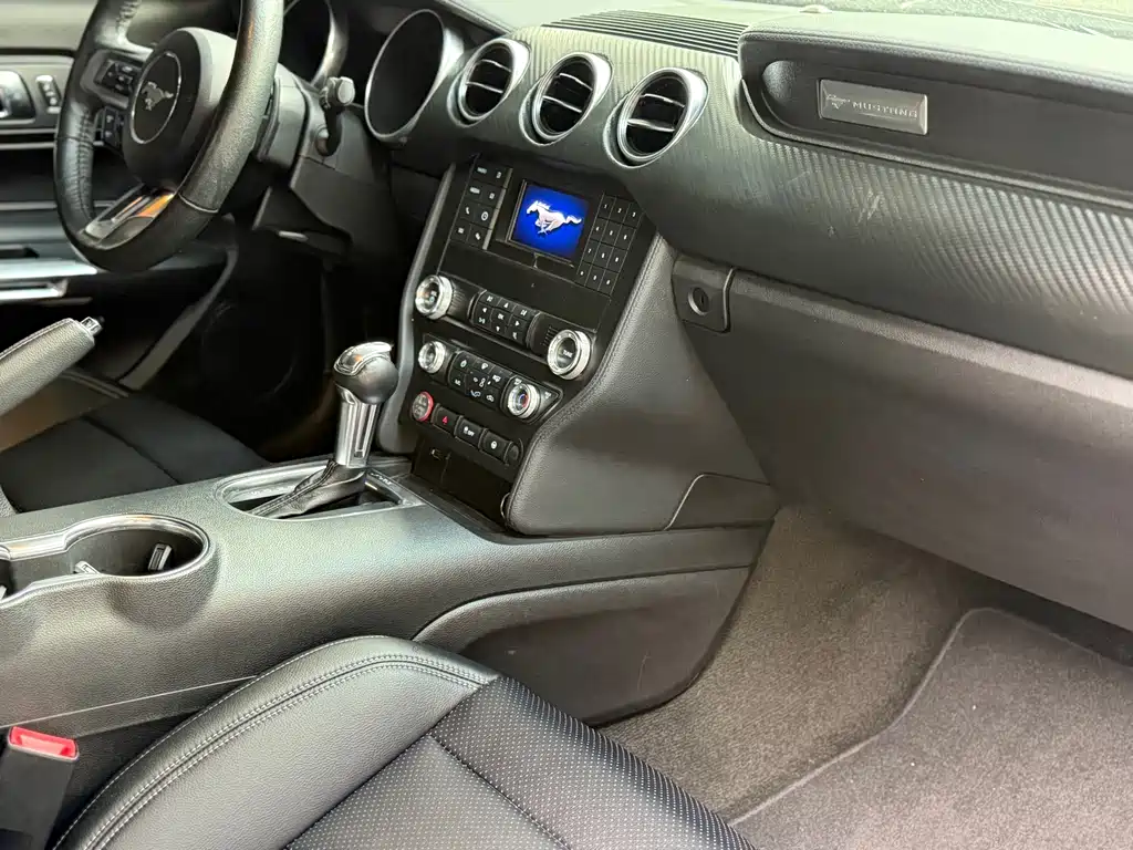 Ford Mustang — миниатюра 12