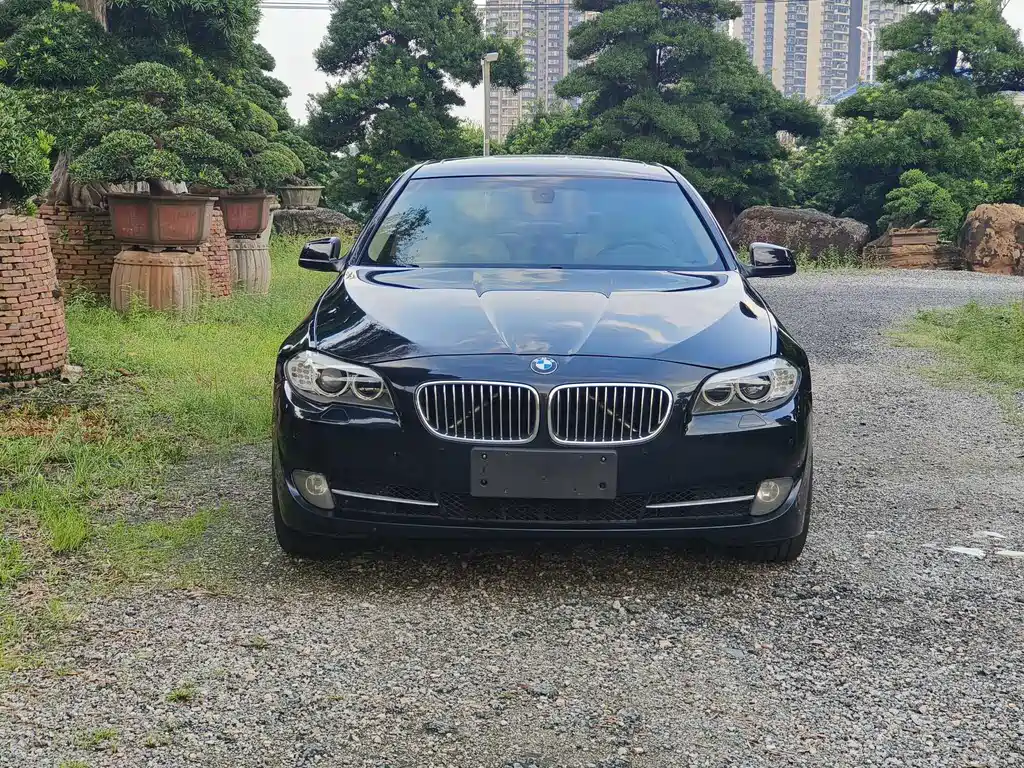BMW 5 Series — миниатюра 2