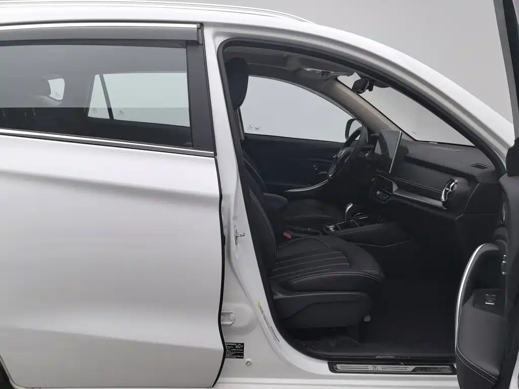 BYD New Energy — миниатюра 23