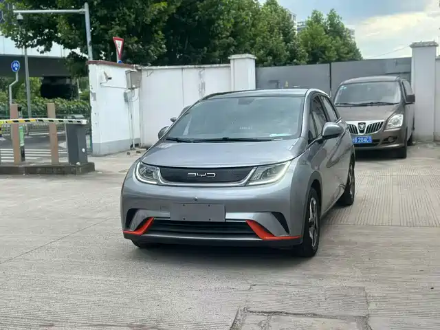 2022 BYD Dolphin