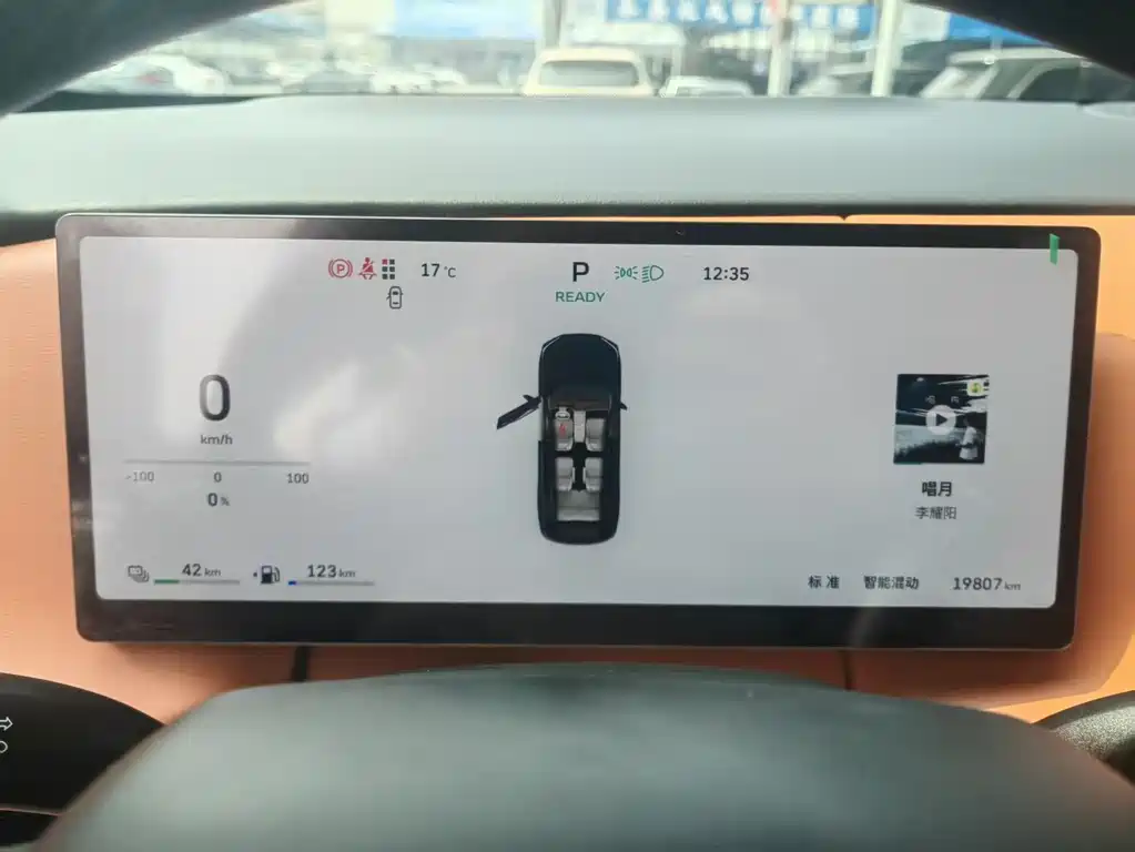 WEI PAI WEI BRAND BLUE MOUNTAIN