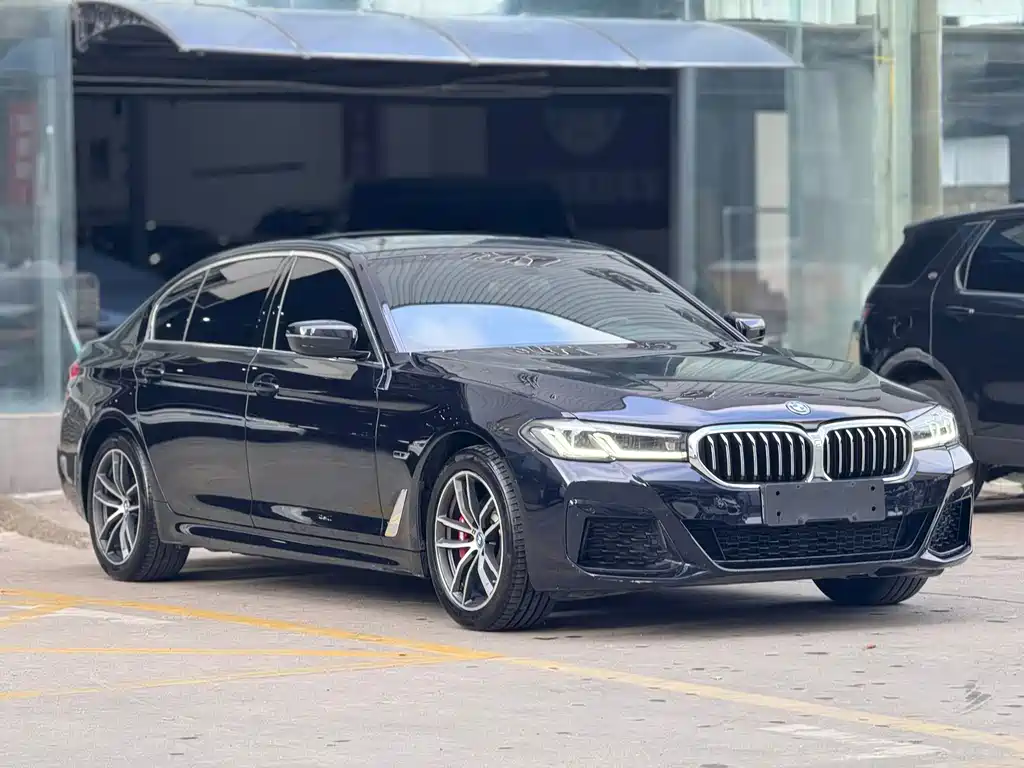 BMW 5 Series New Energy — миниатюра 3