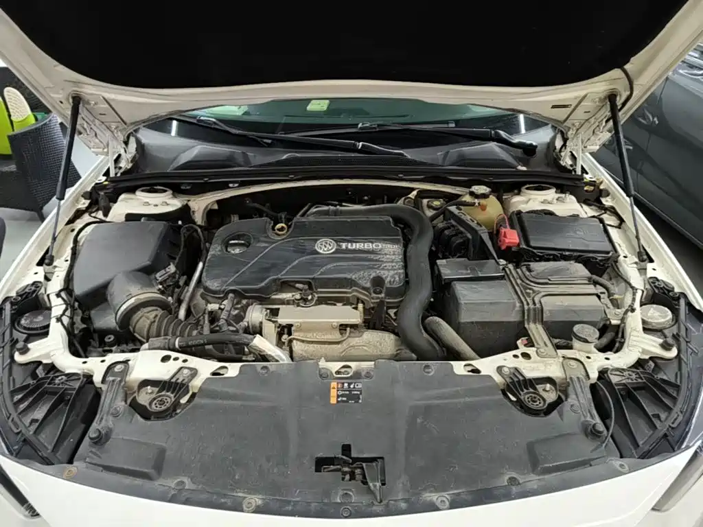 Buick Regal — миниатюра 20