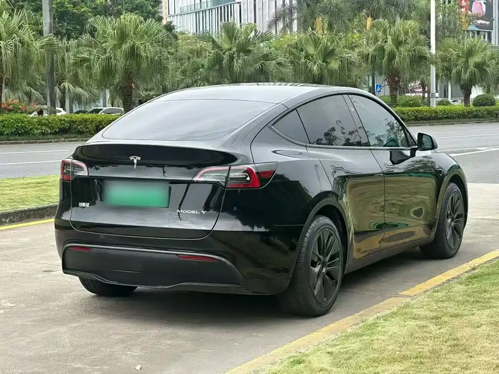 Tesla Model Y — миниатюра 7
