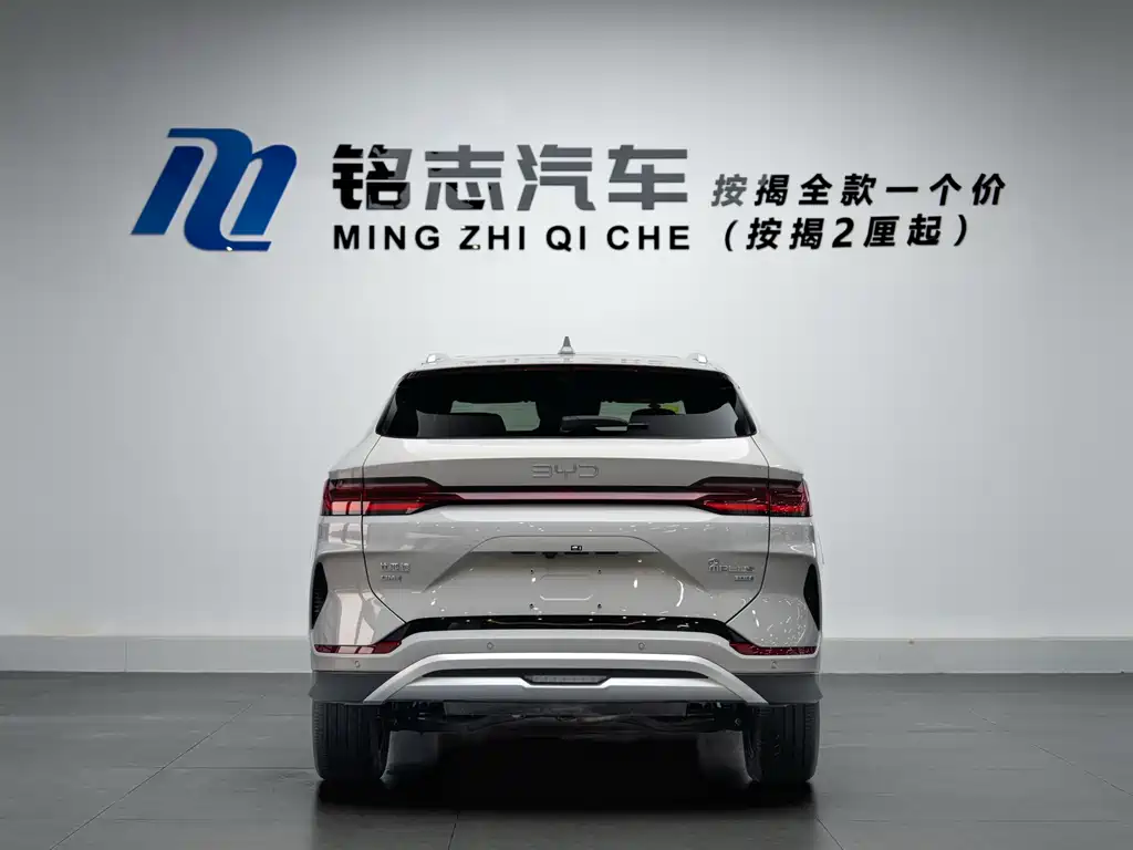 BYD SONGJIANG NEW ENERGY