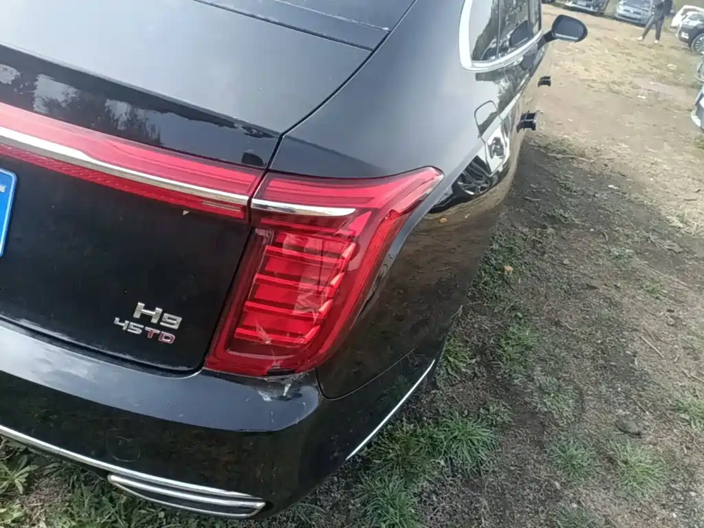 Hongqi Hongqi H9 — миниатюра 8