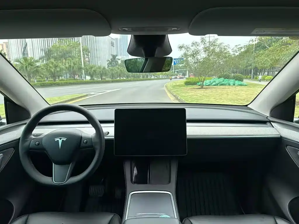 Tesla Model Y — миниатюра 10