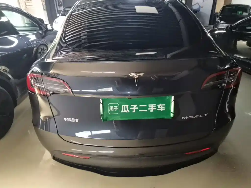 Tesla Model Y — миниатюра 6