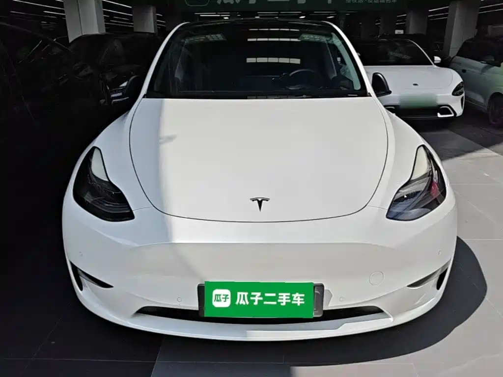 Tesla Model Y — миниатюра 3