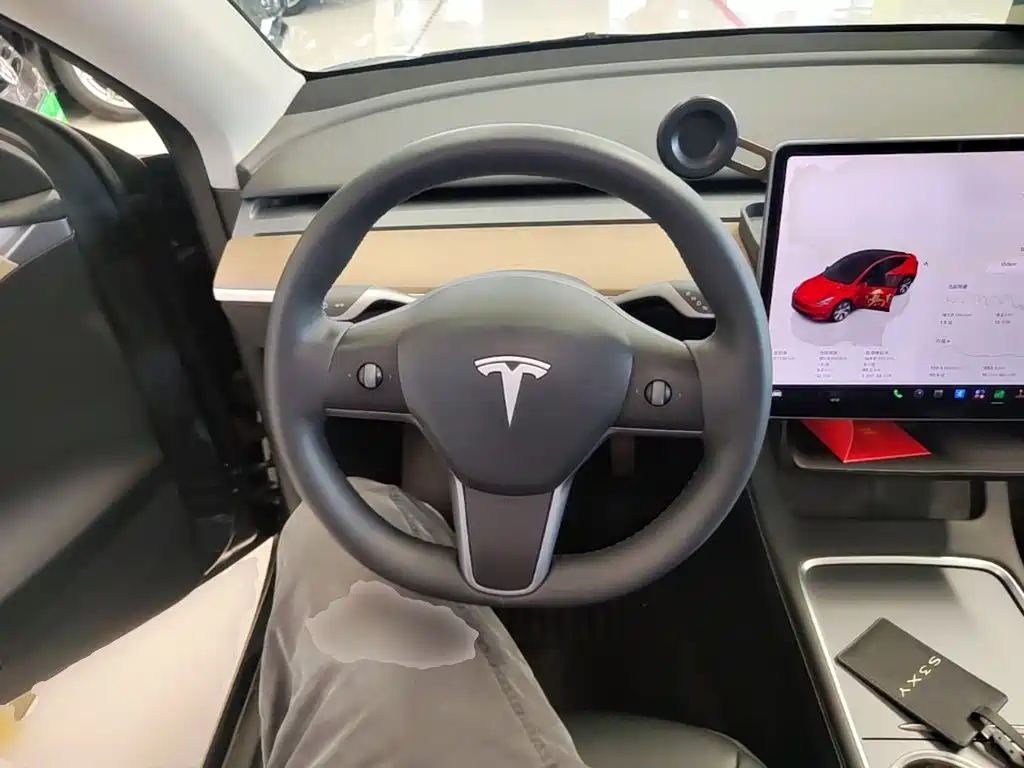 Tesla Model Y — миниатюра 11