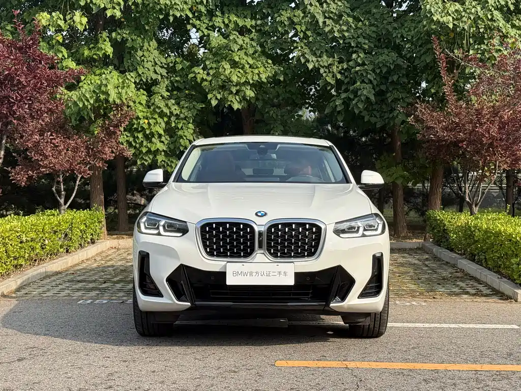 BMW X4 — миниатюра 5