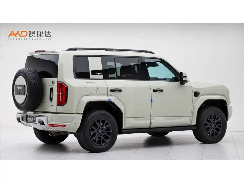 FANG CHENG BAO LEOPARD 5