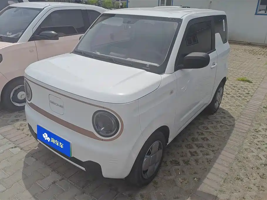 Galaxy Panda 2024