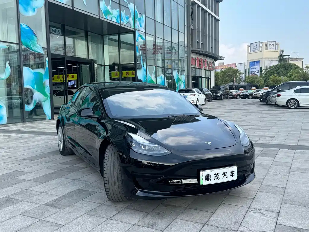 Tesla Model 3 — миниатюра 6