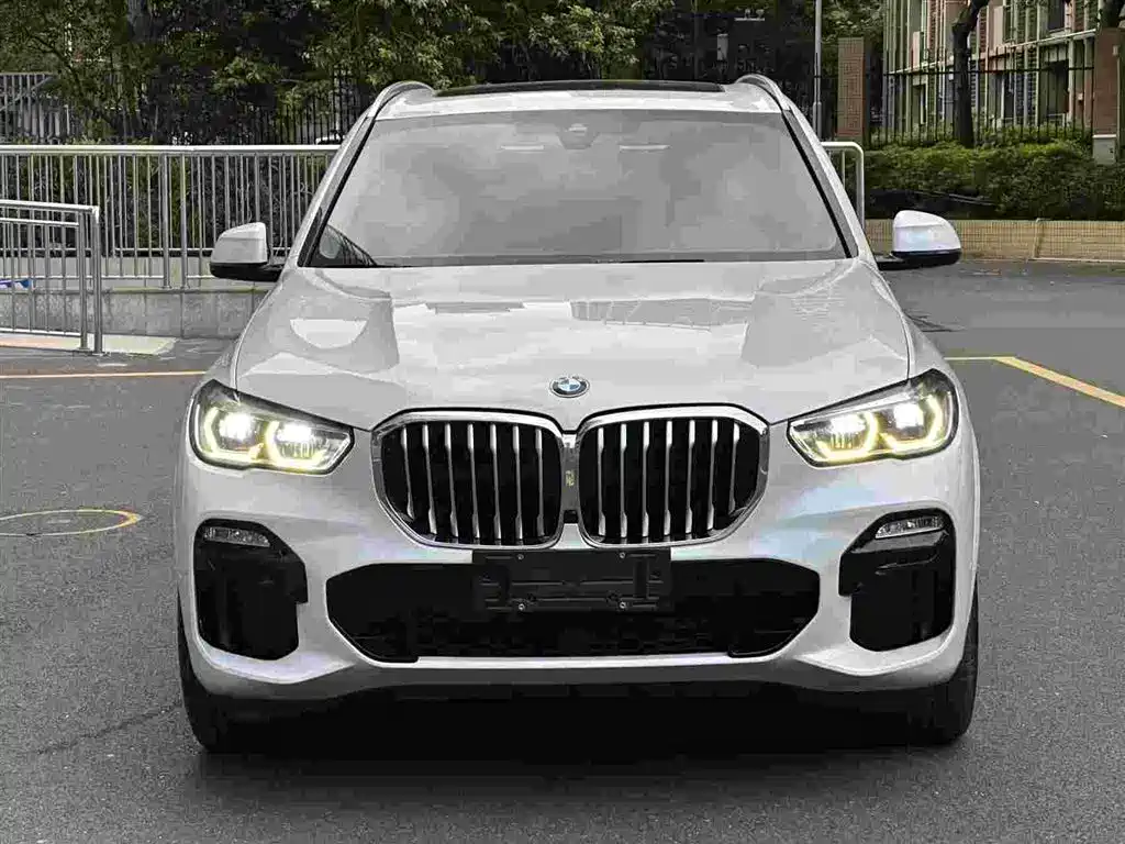 BMW X5 (Import) — миниатюра 2
