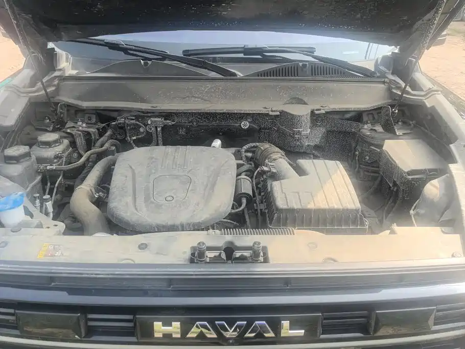 Haval Menglong New Energy — миниатюра 10