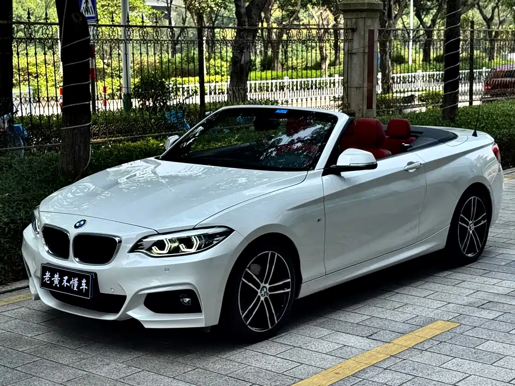 BMW 2 Series (Import) — миниатюра 2