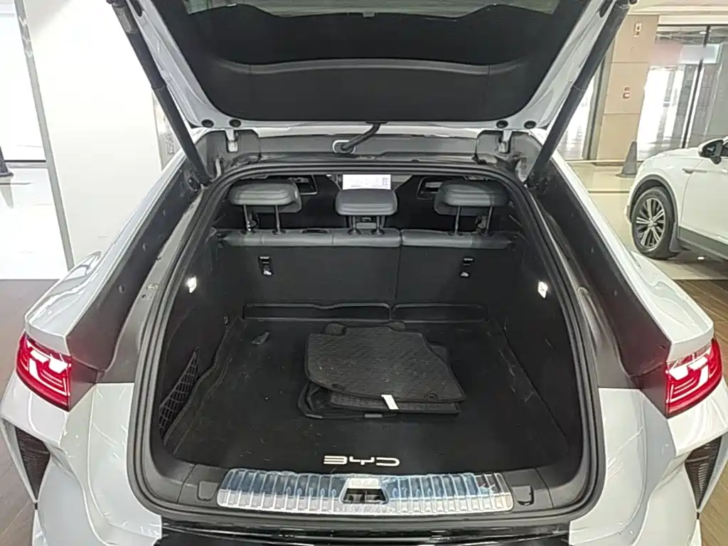 BYD L EV — миниатюра 19