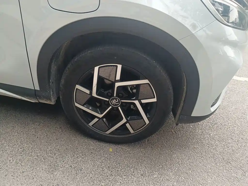 BYD Yuan Plus — миниатюра 25