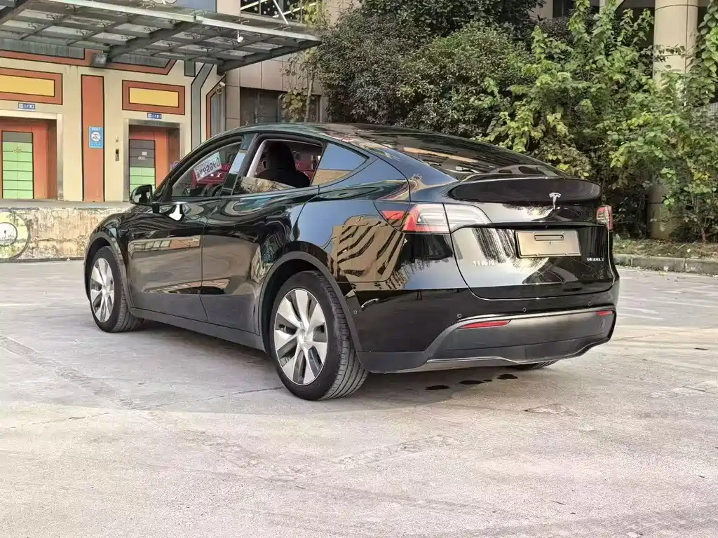 Tesla Model Y — миниатюра 9